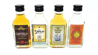 甜酒之趣 慶祝與幽默的靜物藝術